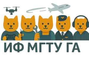 Professional English course Irkutsk branch of Moscow State Technical University of Civil Aviation